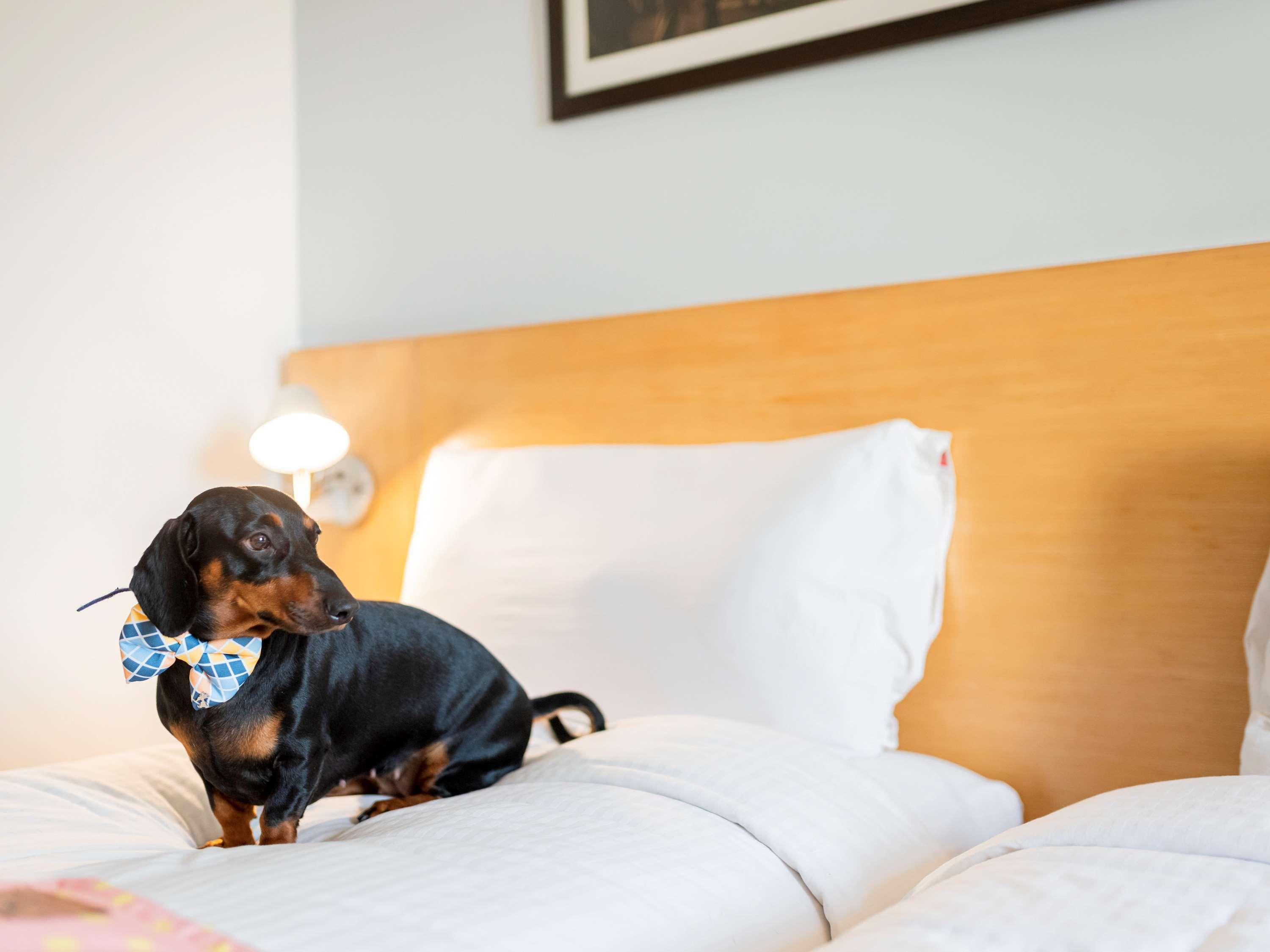 Ibis Aerocity - An Accor Brand