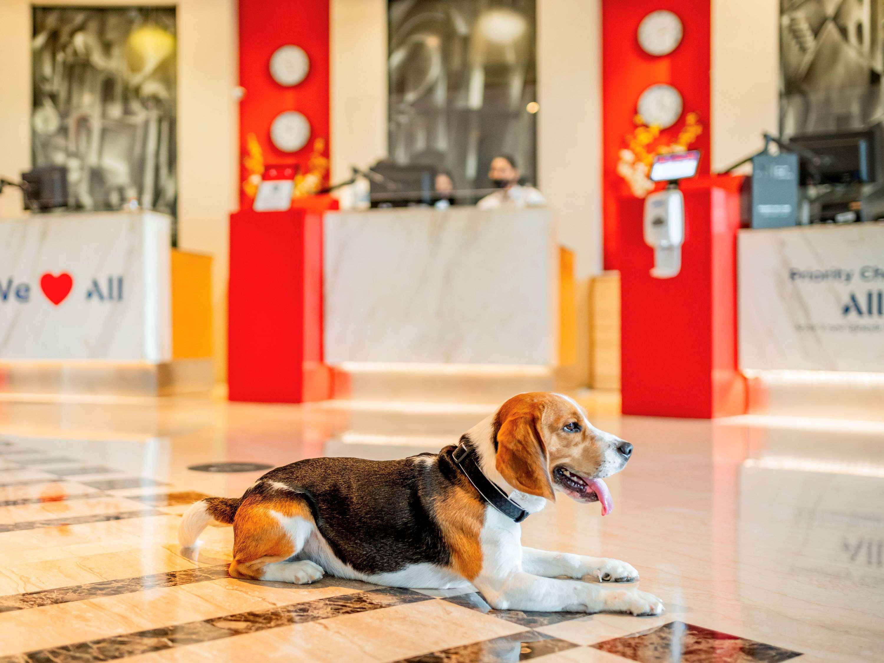 Ibis Aerocity - An Accor Brand Hotel New Delhi