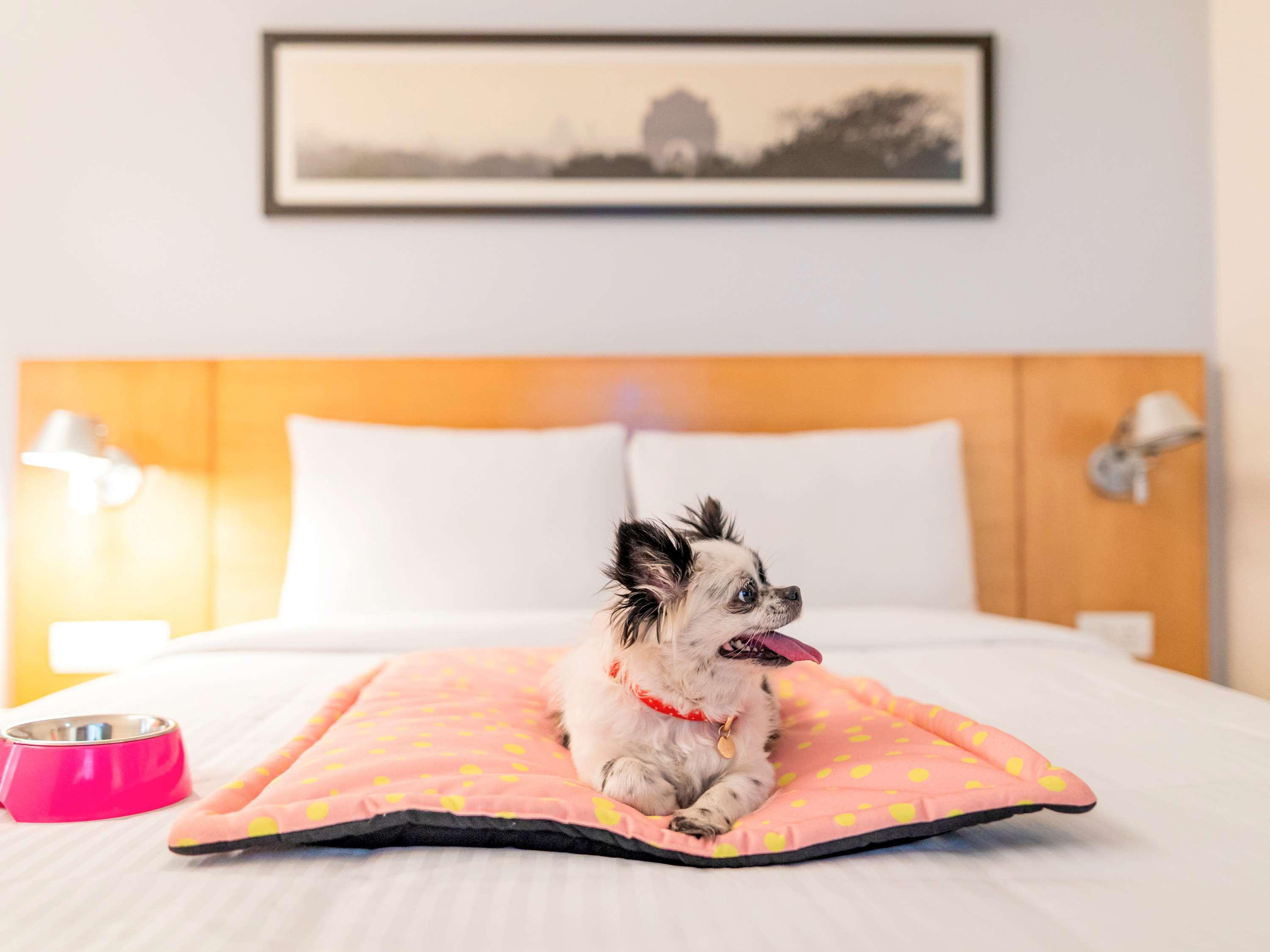 Ibis Aerocity - An Accor Brand