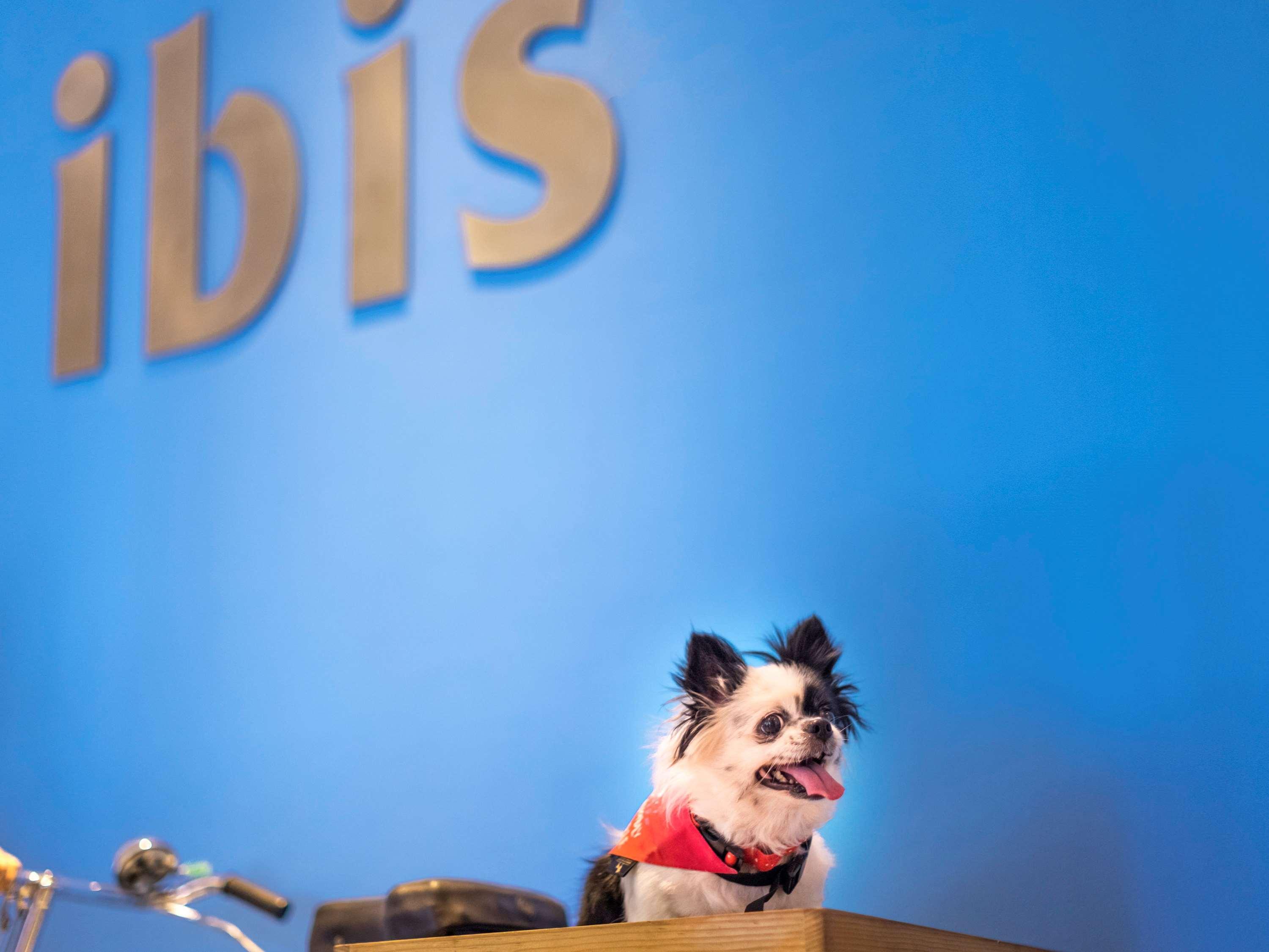 Ibis Aerocity - An Accor Brand Hotel New Delhi